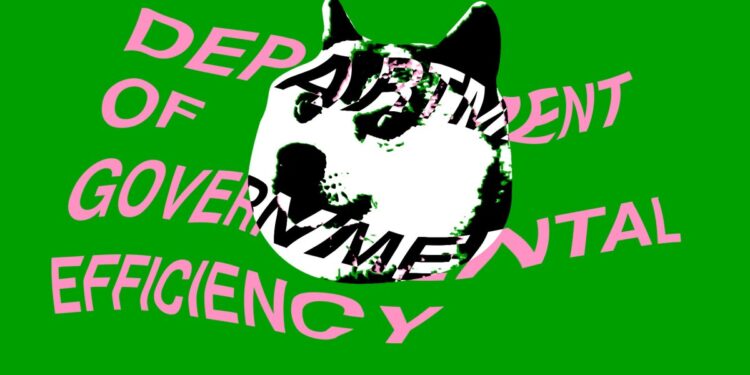 Judge orders DOGE to release records on an ‘expedited basis’