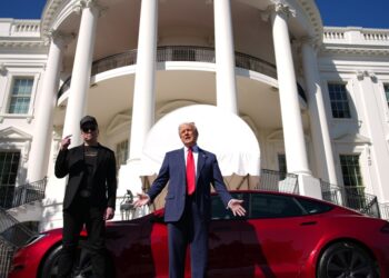 Tesla crash victims’ families worried about Musk’s influence over investigations