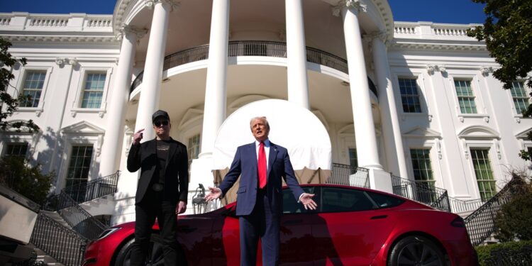 Tesla crash victims’ families worried about Musk’s influence over investigations