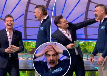 'Wheel of Fortune' contestant asks Ryan Seacrest to pinch him