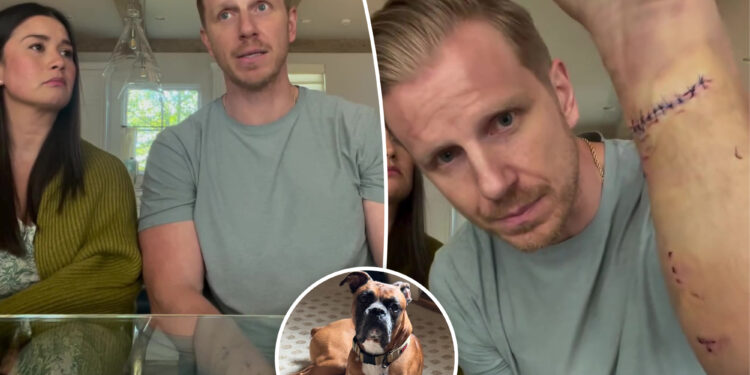 ‘Bachelor’ alum Sean Lowe attacked by his dog twice in 12 hours