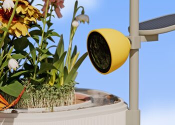 Bird Buddy’s new Petal backyard nature cameras attract and document more than just birds