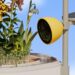 Bird Buddy’s new Petal backyard nature cameras attract and document more than just birds