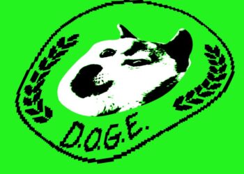DOGE staffers gain access to US Citizenship and Immigration Services data