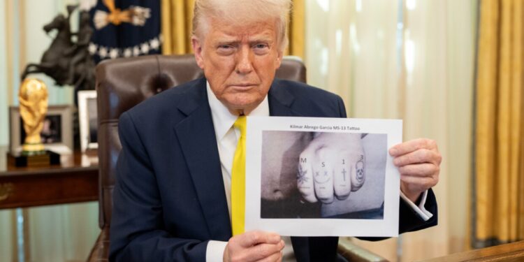 Donald Trump might actually believe these Calibri labels are real MS-13 tattoos