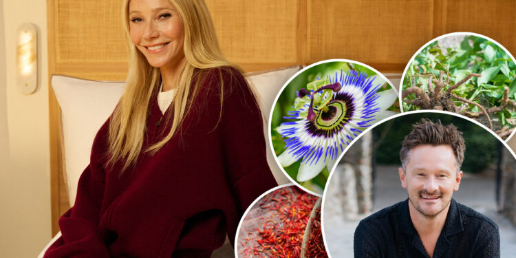 Gwyneth Paltrow's health adviser's 5 favorite sleep supplements