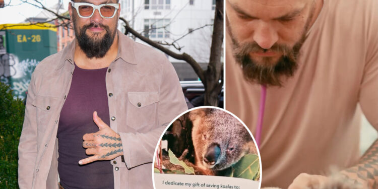 Jason Momoa gets up close, personal with adorable koala at wildlife sanctuary