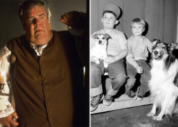 'Lassie' actor Joey D. Vieira dead at 80