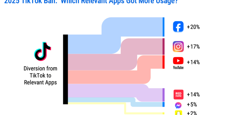 A screenshot of charts showing social media usage.