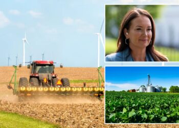 White House considering farmer bailout plan due to trade war