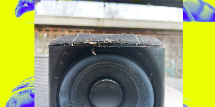 A buggy Sonos mystery | The Verge