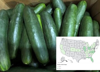 Cucumber recall linked to nationwide salmonella outbreak