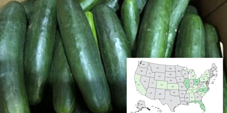 Cucumber recall linked to nationwide salmonella outbreak