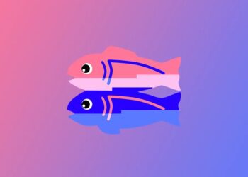 Glitch is basically shutting down