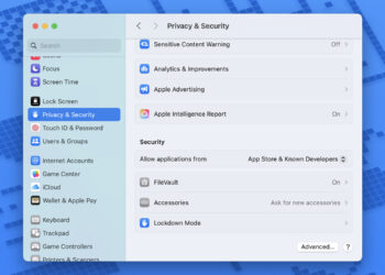 The Privacy & Security page on a Mac’s setup app, with Lockdown Mode at the bottom.