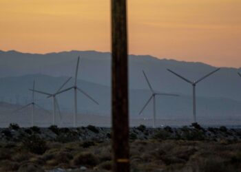 States sue Trump over ‘existential threat’ to wind energy