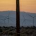States sue Trump over ‘existential threat’ to wind energy