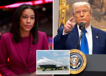 Trump lashes out at 'ABC fake News' over question about Qatari plane