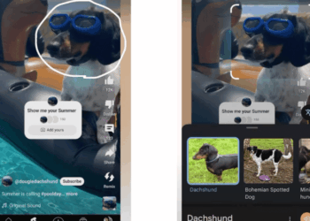 YouTube will let you search for things you see in Shorts