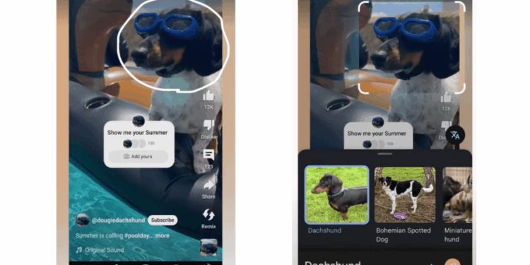 YouTube will let you search for things you see in Shorts