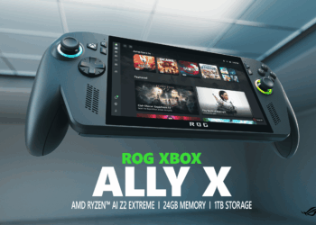 The Xbox Ally X.