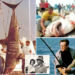 Long Island's 'monster' shark hunter legend may have inspired 'Jaws,' iconic Capt. Quint
