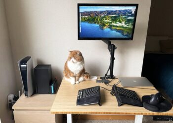 Cat sitting on desk next to monitor, keyboard, and other devices.