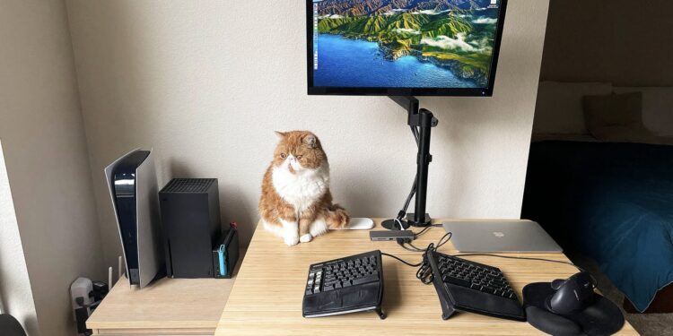 Cat sitting on desk next to monitor, keyboard, and other devices.