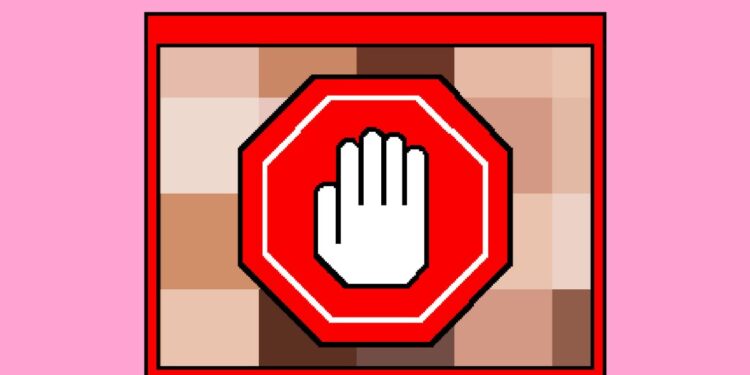 Supreme Court allows Texas online porn age verification law