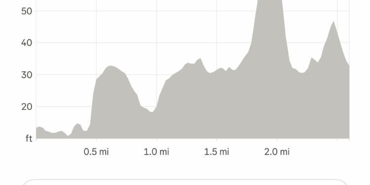 Screenshot of a Strava run’s Elevation graph where it restates the elevation data shown directly above and below it in a graph.