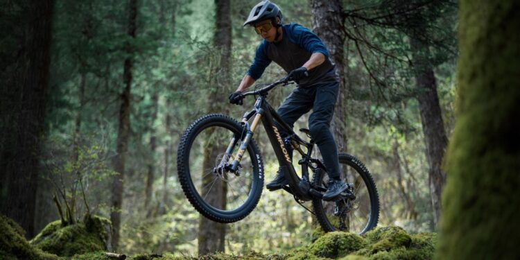 DJI finally brings its impressive Amflow e-bike to US trails