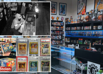 Pokemon bandit swipes $100K worth of rare cards in break-in