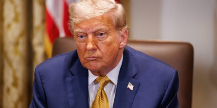 Donald Trump at a cabinet meeting.