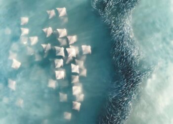 Photographer of the Year: Joanna Steidle, United States. A fever of cownose rays approaching a school of menhaden bait fish, taken just a few hundred feet from the coast of Southampton, NY. USA.