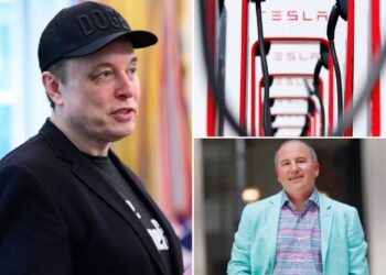 Tesla's board urged to rein in CEO Elon Musk