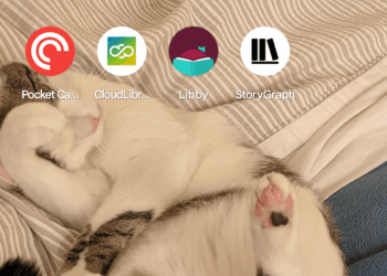 An image of Molly White’s homescreen.