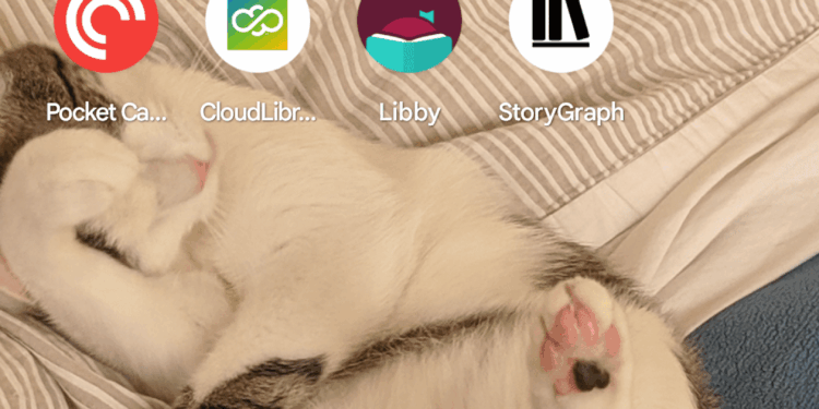 An image of Molly White’s homescreen.