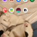 An image of Molly White’s homescreen.
