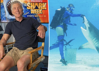Tom Bergeron on a possible ‘DWTS’ return ahead of new shark show