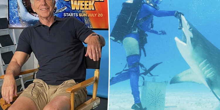 Tom Bergeron on a possible ‘DWTS’ return ahead of new shark show