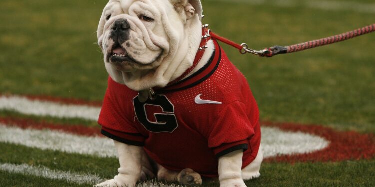 BetMGM bonus code POSTBET for $1,500 in bonus bets for the 2025 college football season