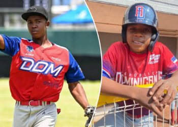 Baseball prospect Gustavo Talmare, 14, dead after drowning