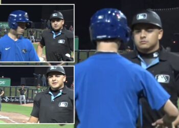 Bat boy seemingly ejected by minor league umpire in wild scene
