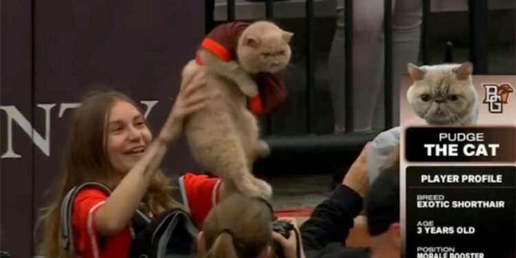 Pudge the Cat during Bowling Green's season opener on Aug. 28, 2025.