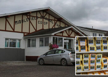 Cheese maker pulls 5,400 pounds of product off shelves due to listeria