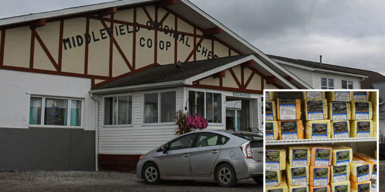 Cheese maker pulls 5,400 pounds of product off shelves due to listeria