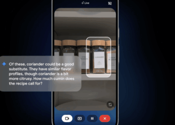 Google’s Gemini Live AI assistant will show you what it’s talking about