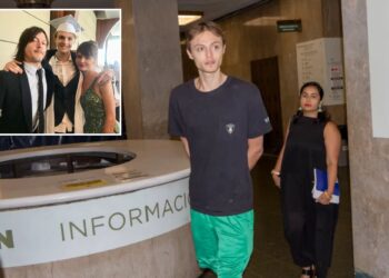 Mingus Reedus, son of 'Walking Dead' star Norman Reedus, supermodel Helena Christensen arraigned in NYC court