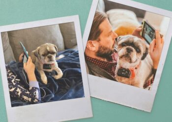 My gaming buddy | The Verge