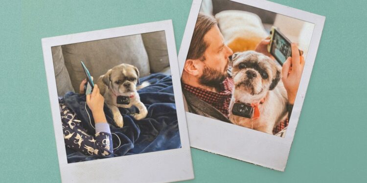 My gaming buddy | The Verge